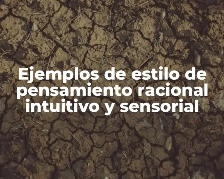 Ejemplos de estilo de pensamiento racional intuitivo y sensorial
