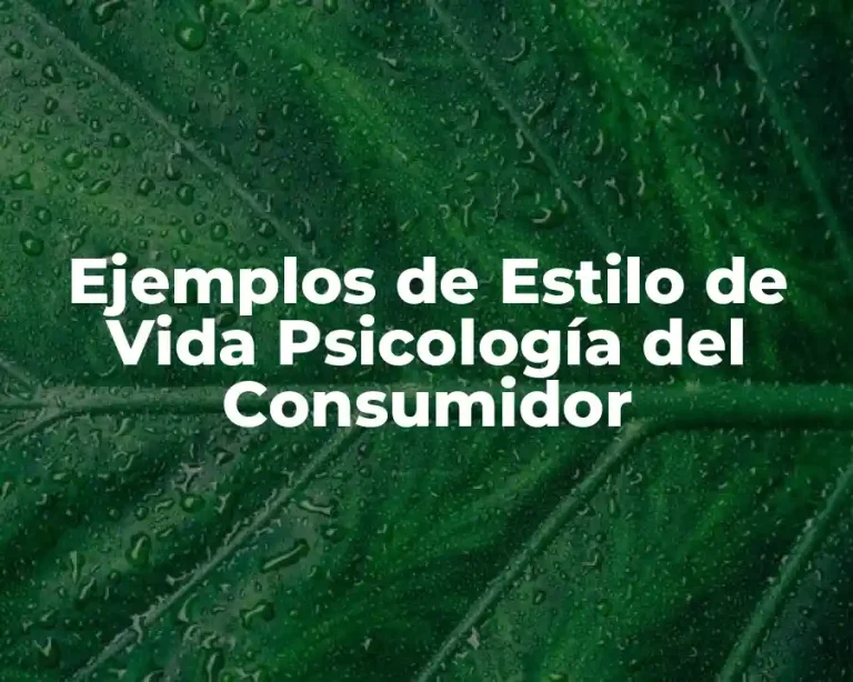 Ejemplos de Estilo de Vida Psicología del Consumidor