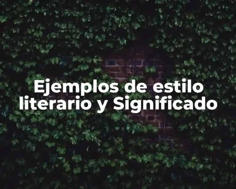 Ejemplos de estilo literario y Significado