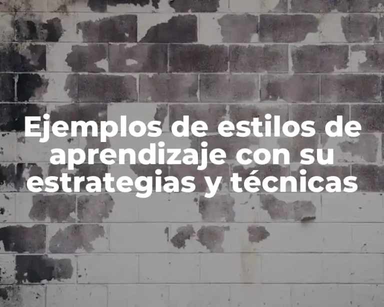 Ejemplos de estilos de aprendizaje con su estrategias y técnicas