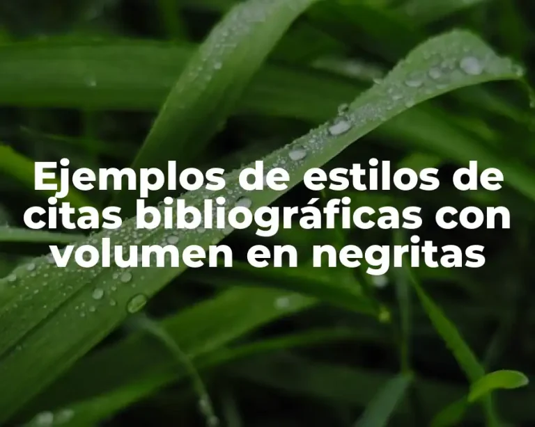 Ejemplos de estilos de citas bibliográficas con volumen en negritas