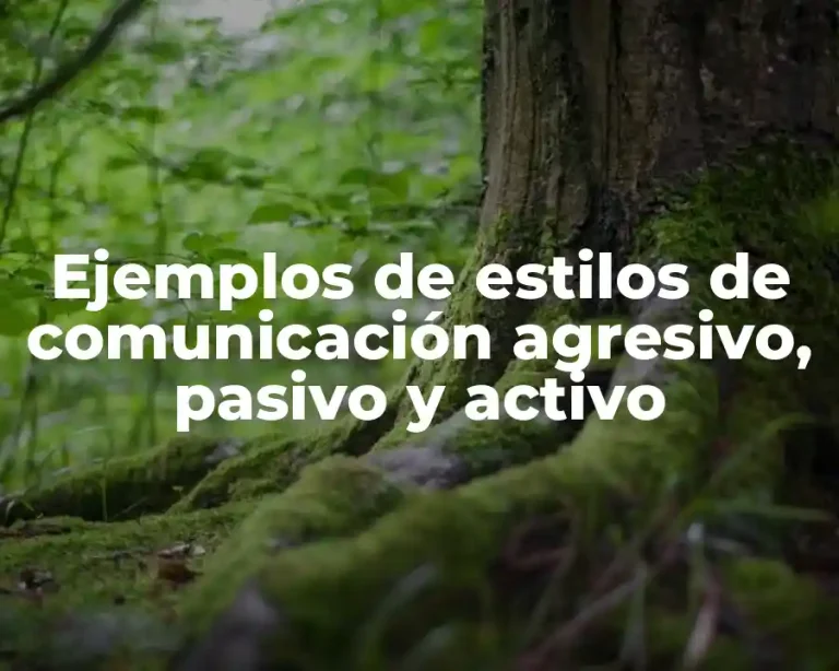 Ejemplos de estilos de comunicación agresivo, pasivo y activo