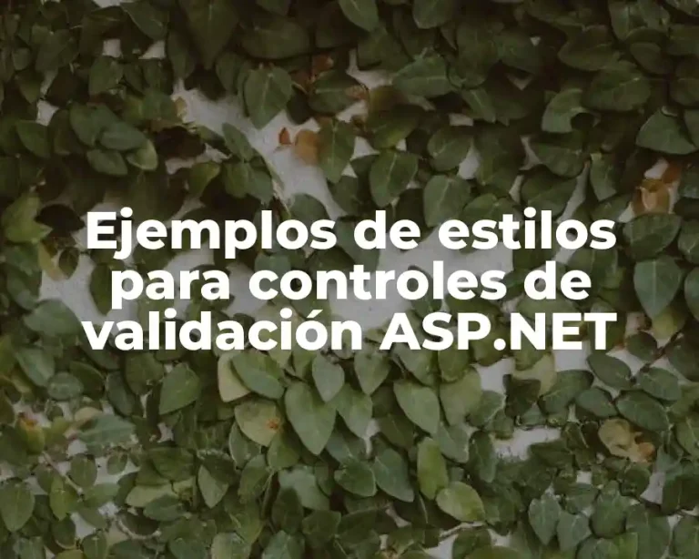 Ejemplos de estilos para controles de validación ASP.NET