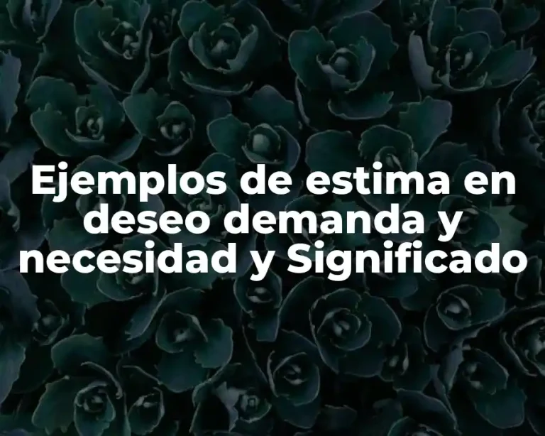 Ejemplos de estima en deseo demanda y necesidad y Significado