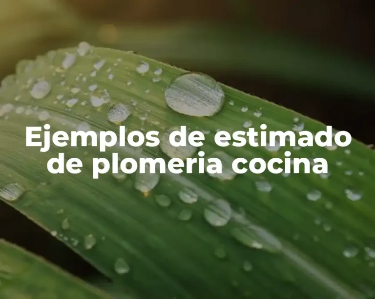 Ejemplos de estimado de plomeria cocina