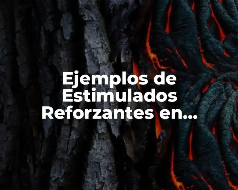 Ejemplos de Estimulados Reforzantes en Cambios de Conducta