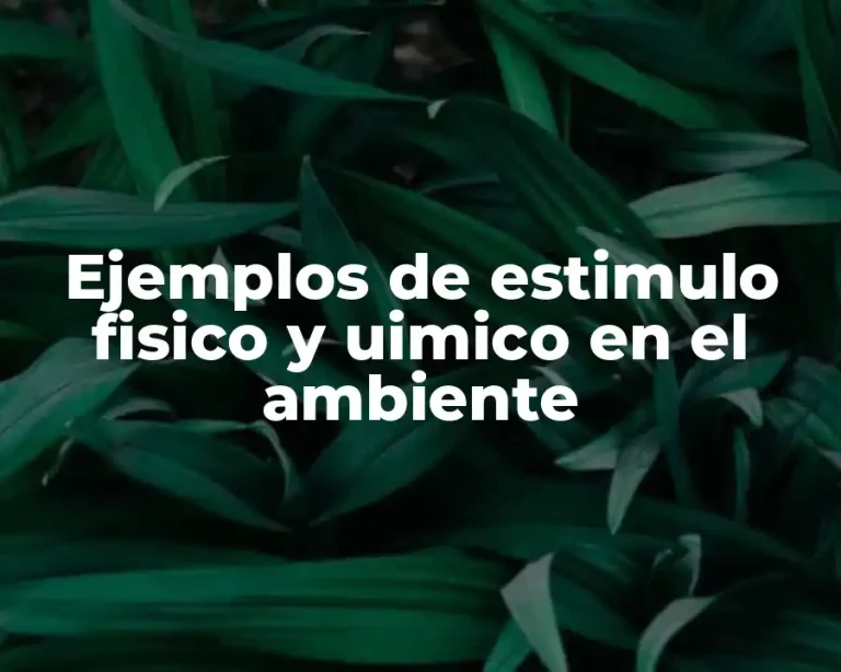 Ejemplos de estimulo fisico y uimico en el ambiente