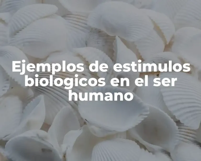 Ejemplos de estimulos biologicos en el ser humano