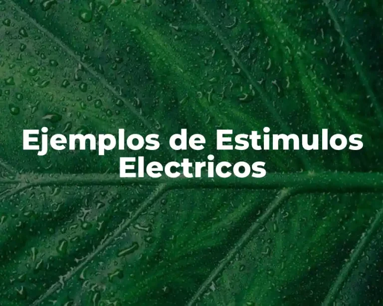 Ejemplos de Estimulos Electricos