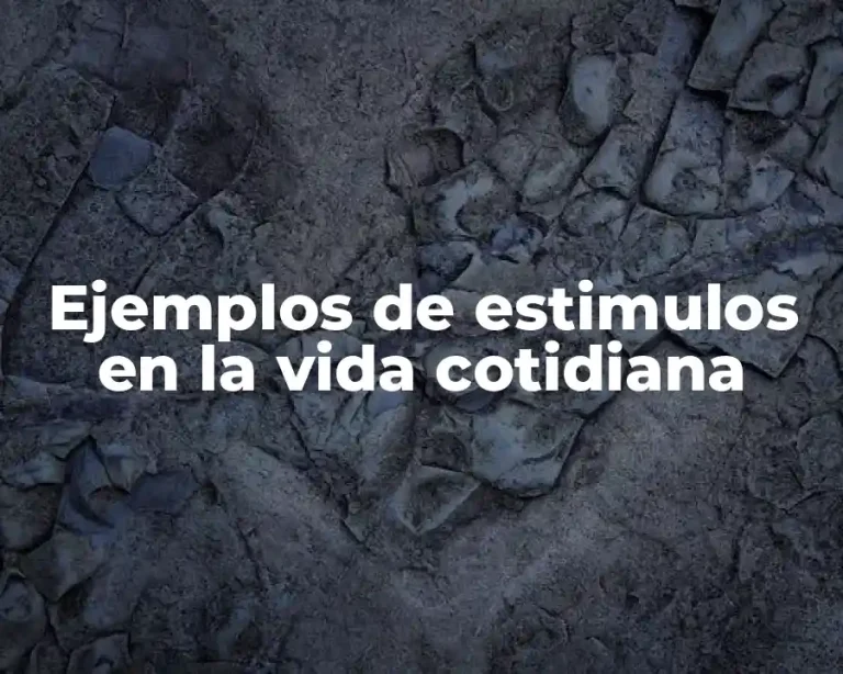 Ejemplos de estimulos en la vida cotidiana