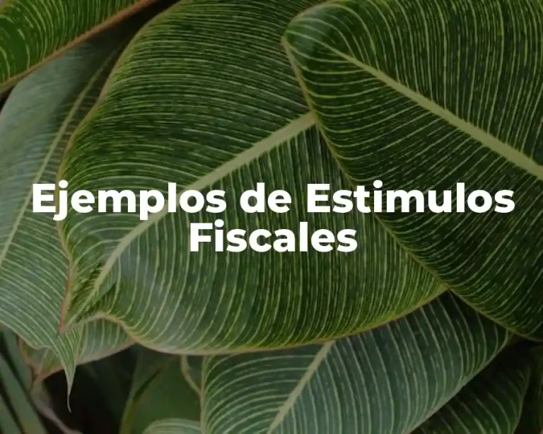 Ejemplos de Estimulos Fiscales