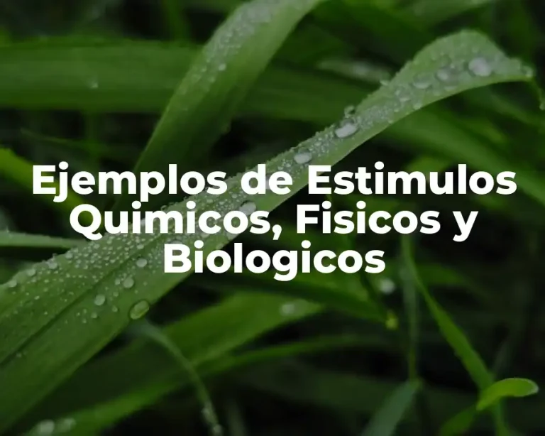 Ejemplos de Estimulos Quimicos, Fisicos y Biologicos