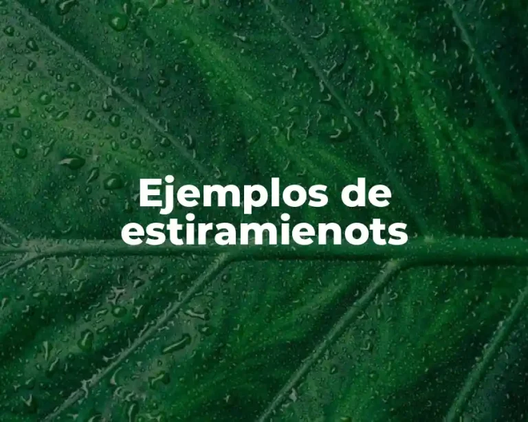 Ejemplos de estiramienots