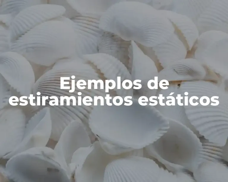 Ejemplos de estiramientos estáticos