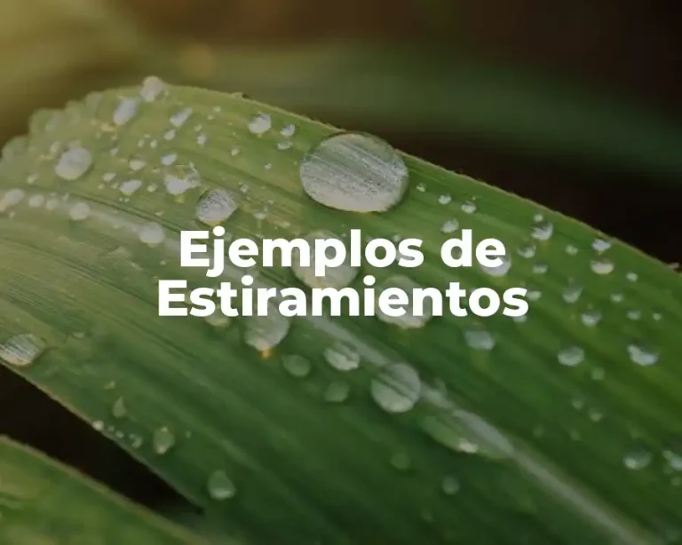 Ejemplos de Estiramientos