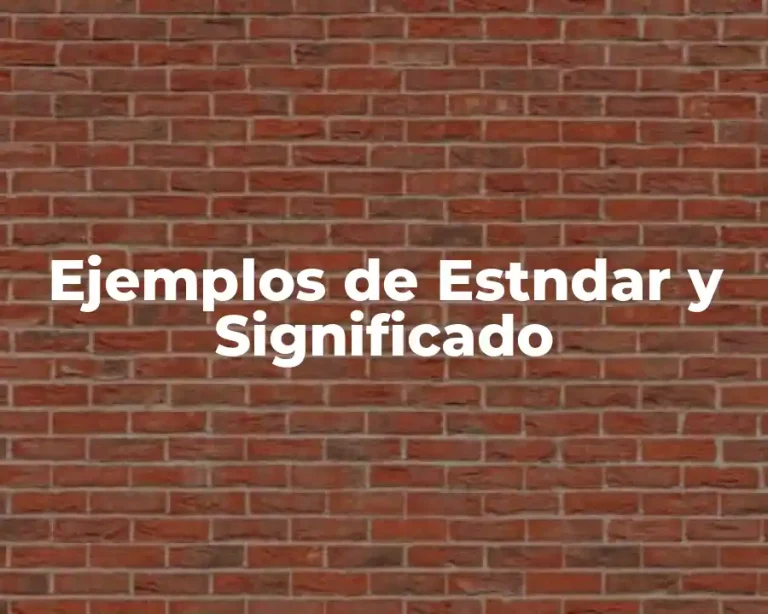 Ejemplos de Estndar y Significado