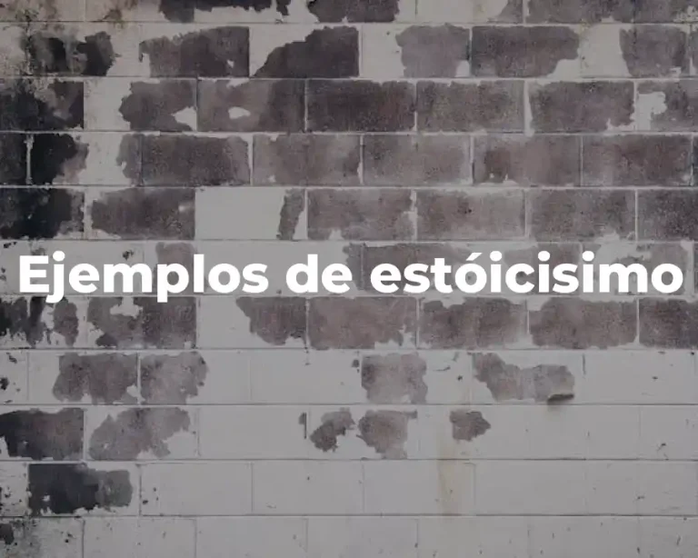 Ejemplos de estóicisimo
