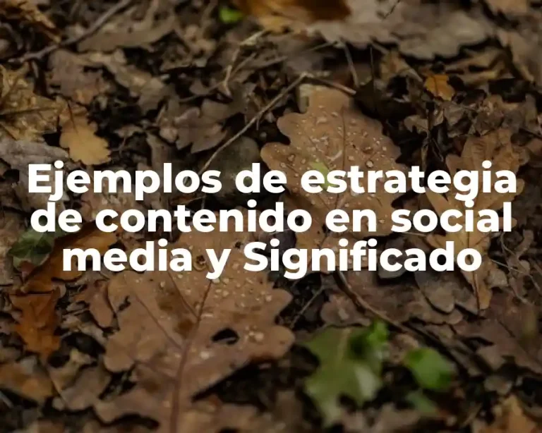 Ejemplos de estrategia de contenido en social media y Significado