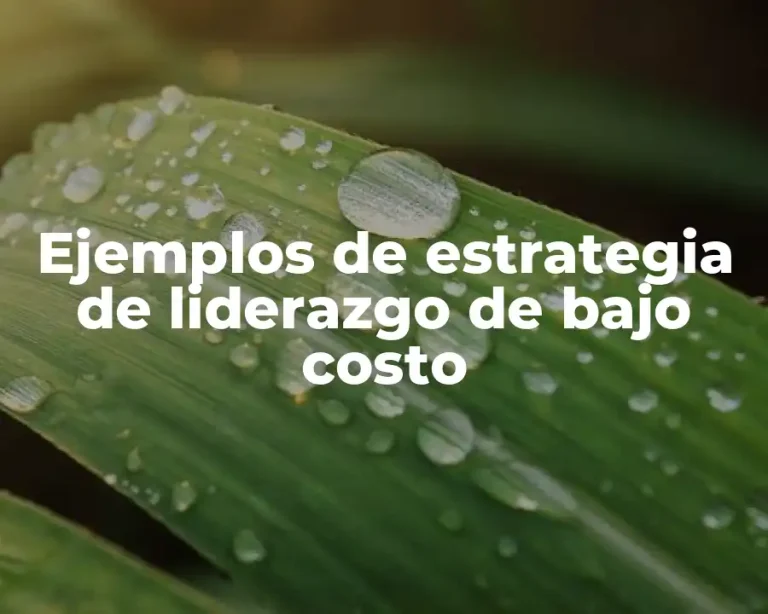 Ejemplos de estrategia de liderazgo de bajo costo