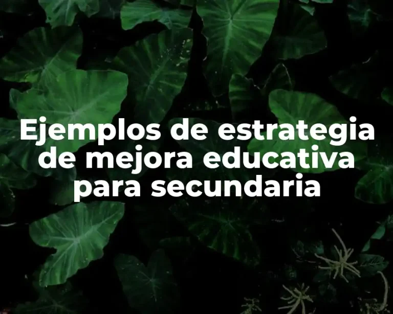 Ejemplos de estrategia de mejora educativa para secundaria