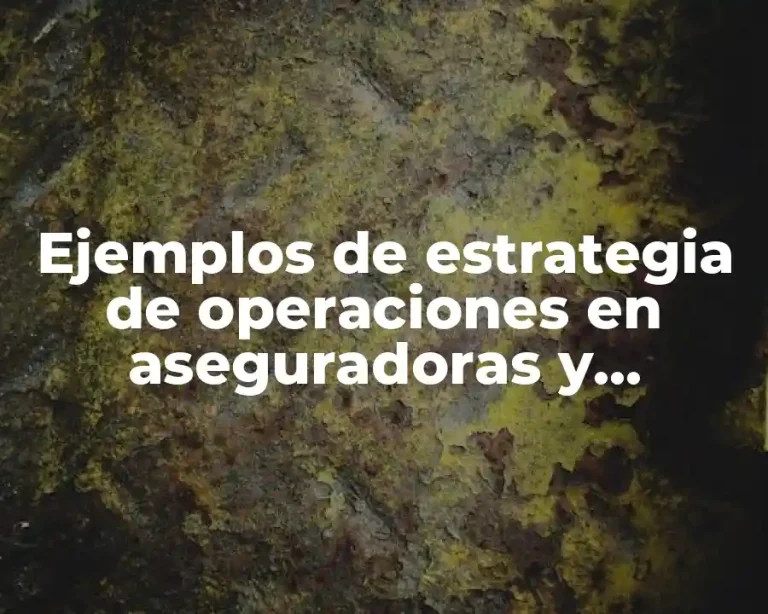 Ejemplos de estrategia de operaciones en aseguradoras y Significado