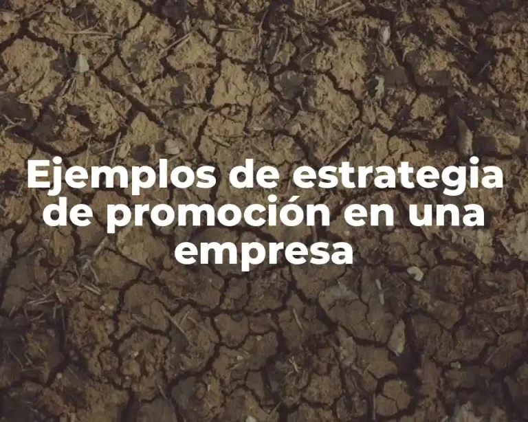 Ejemplos de estrategia de promoción en una empresa