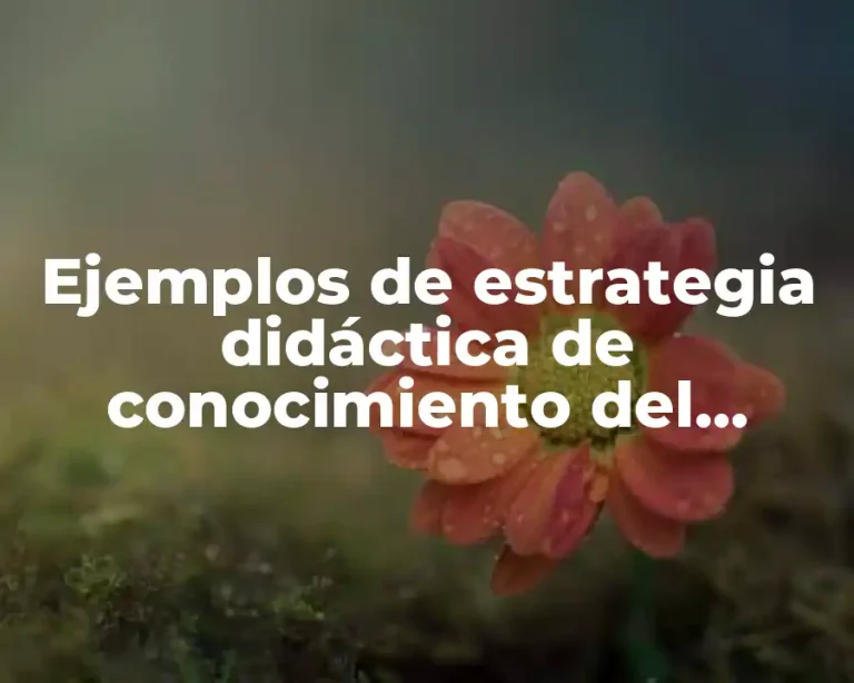 Ejemplos de estrategia didáctica de conocimiento del medio de primaria