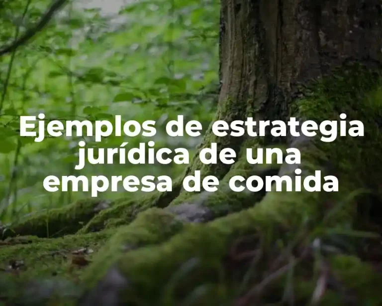 Ejemplos de estrategia jurídica de una empresa de comida
