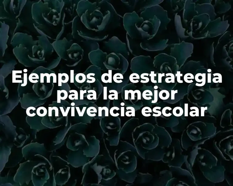 Ejemplos de estrategia para la mejor convivencia escolar