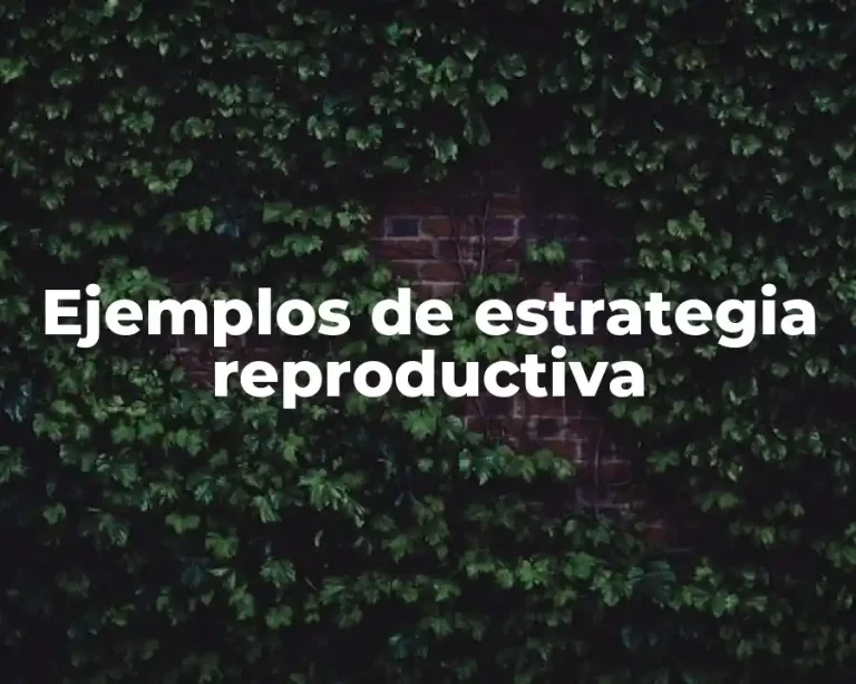 Ejemplos de estrategia reproductiva