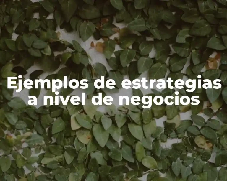 Ejemplos de estrategias a nivel de negocios