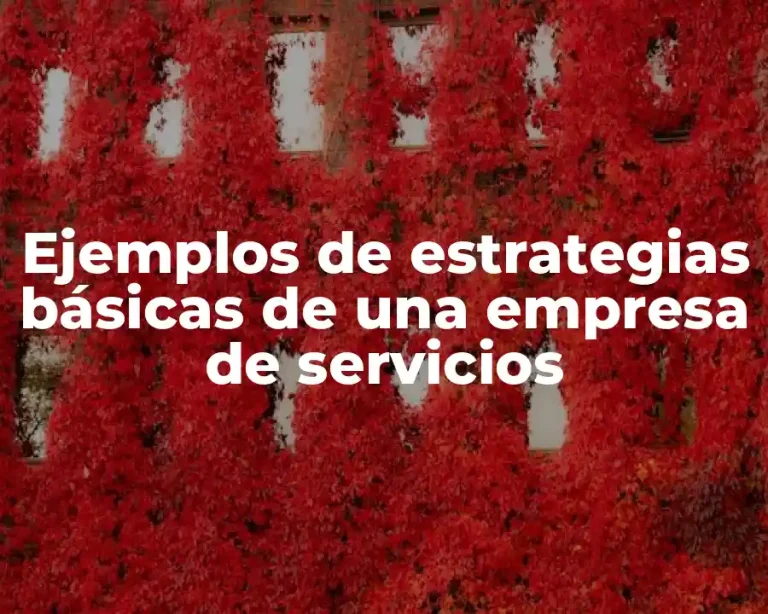 Ejemplos de estrategias básicas de una empresa de servicios