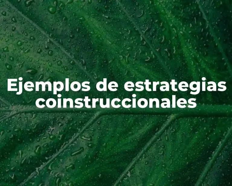 Ejemplos de estrategias coinstruccionales