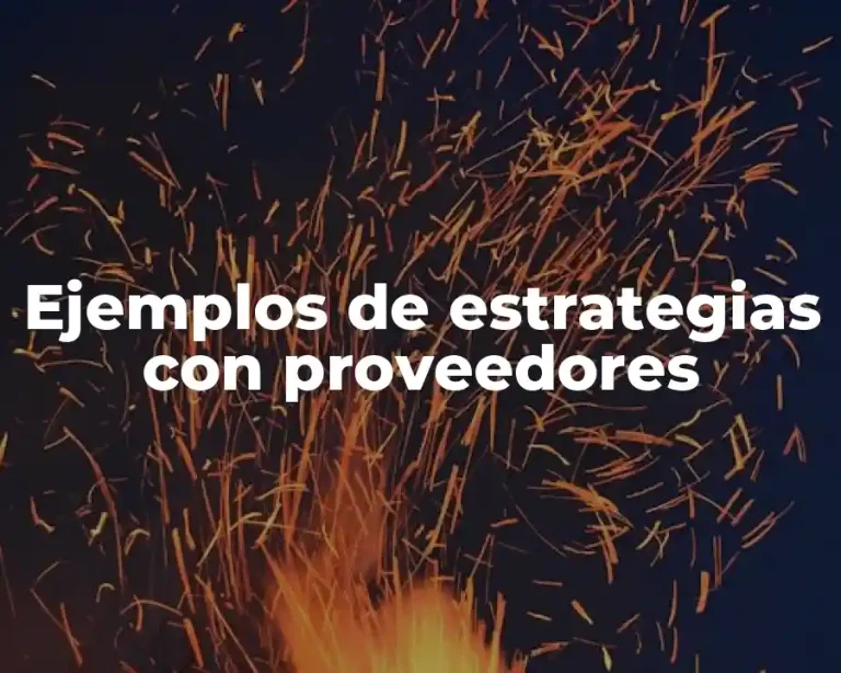 Ejemplos de estrategias con proveedores