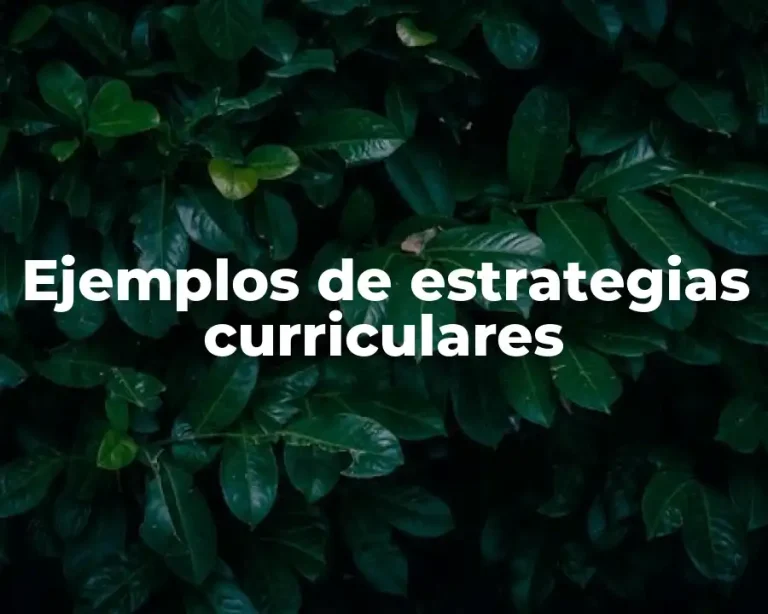Ejemplos de estrategias curriculares