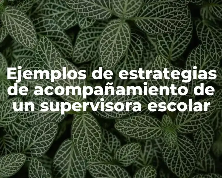 Ejemplos de estrategias de acompañamiento de un supervisora escolar