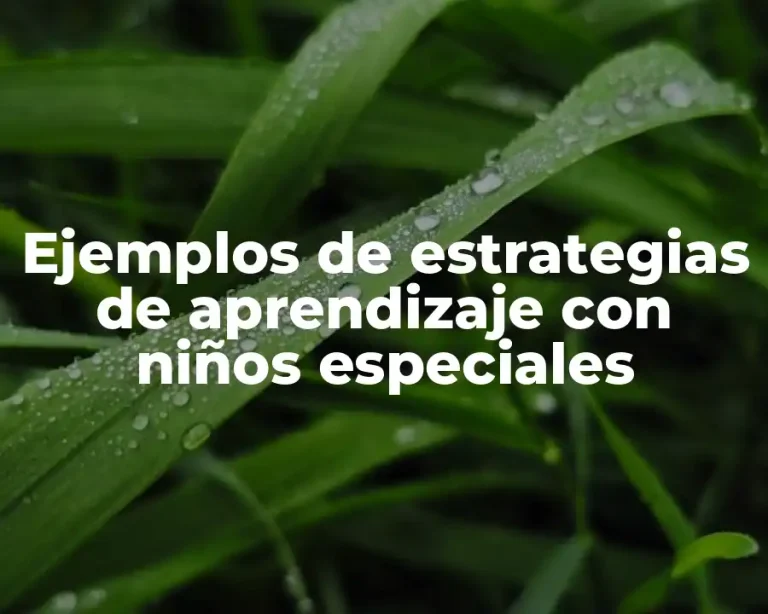 Ejemplos de estrategias de aprendizaje con niños especiales