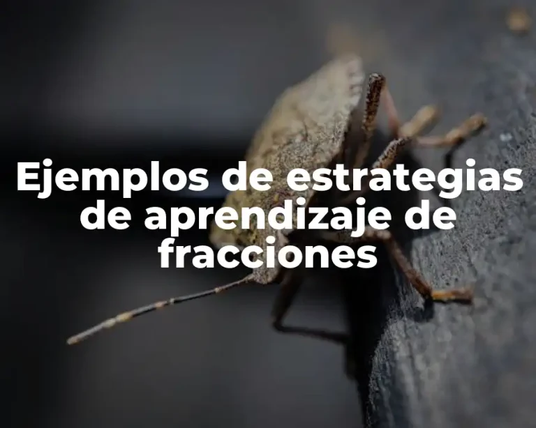 Ejemplos de estrategias de aprendizaje de fracciones