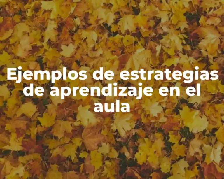 Ejemplos de estrategias de aprendizaje en el aula