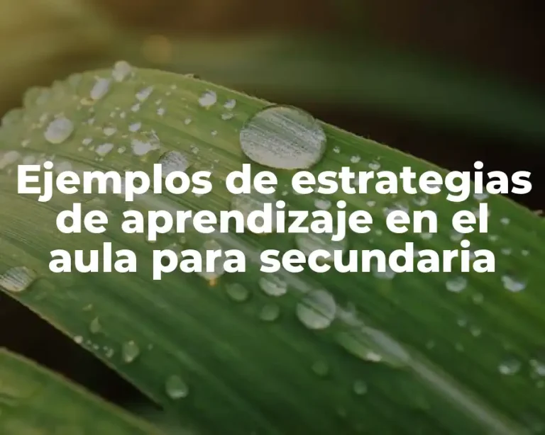 Ejemplos de estrategias de aprendizaje en el aula para secundaria