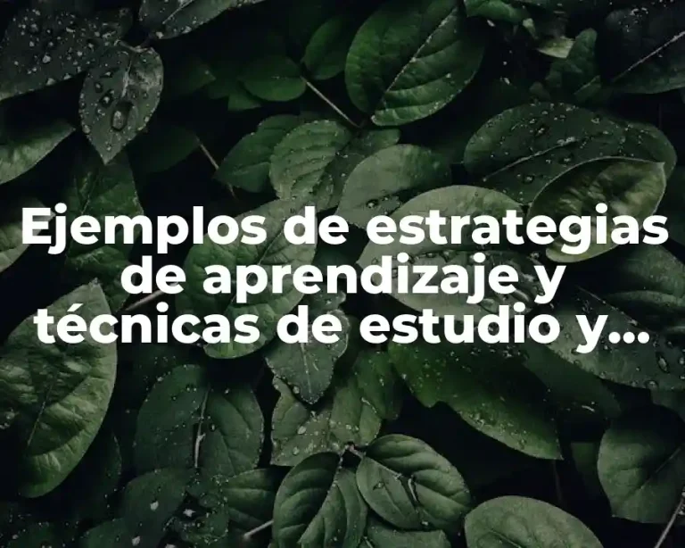 Ejemplos de estrategias de aprendizaje y técnicas de estudio y Significado