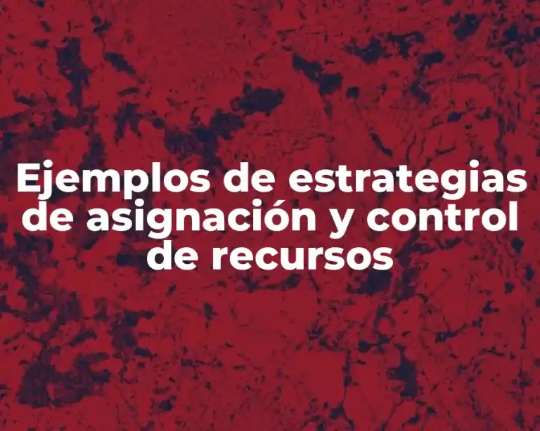 Ejemplos de estrategias de asignación y control de recursos