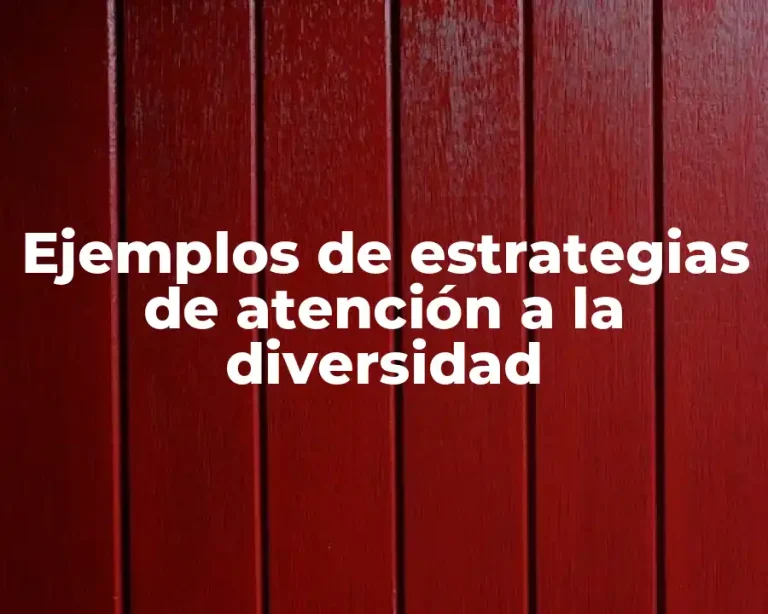 Ejemplos de estrategias de atención a la diversidad
