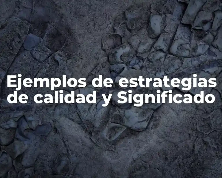 Ejemplos de estrategias de calidad y Significado