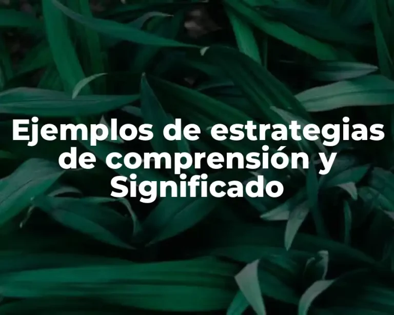 Ejemplos de estrategias de comprensión y Significado