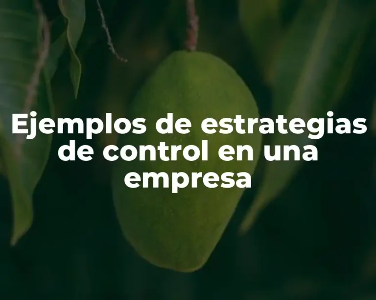 Ejemplos de estrategias de control en una empresa
