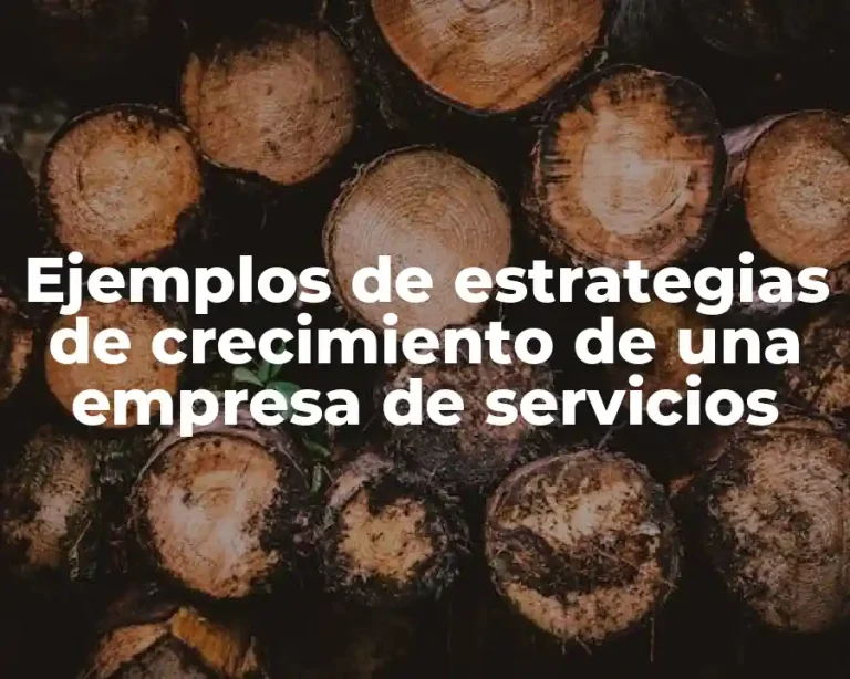 Ejemplos de estrategias de crecimiento de una empresa de servicios