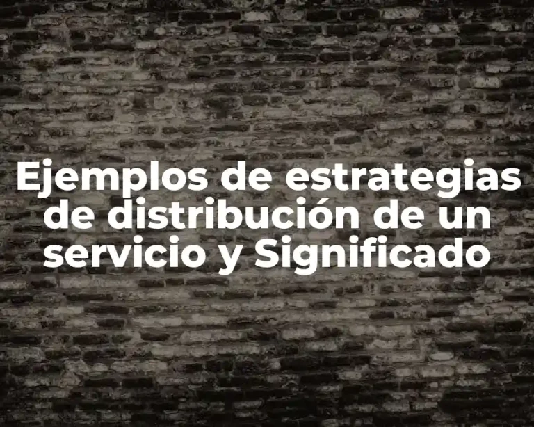 Ejemplos de estrategias de distribución de un servicio y Significado