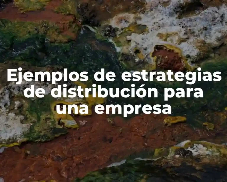 Ejemplos de estrategias de distribución para una empresa