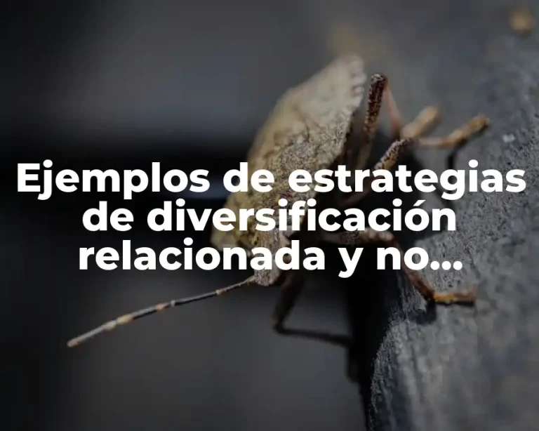 Ejemplos de estrategias de diversificación relacionada y no relacionada